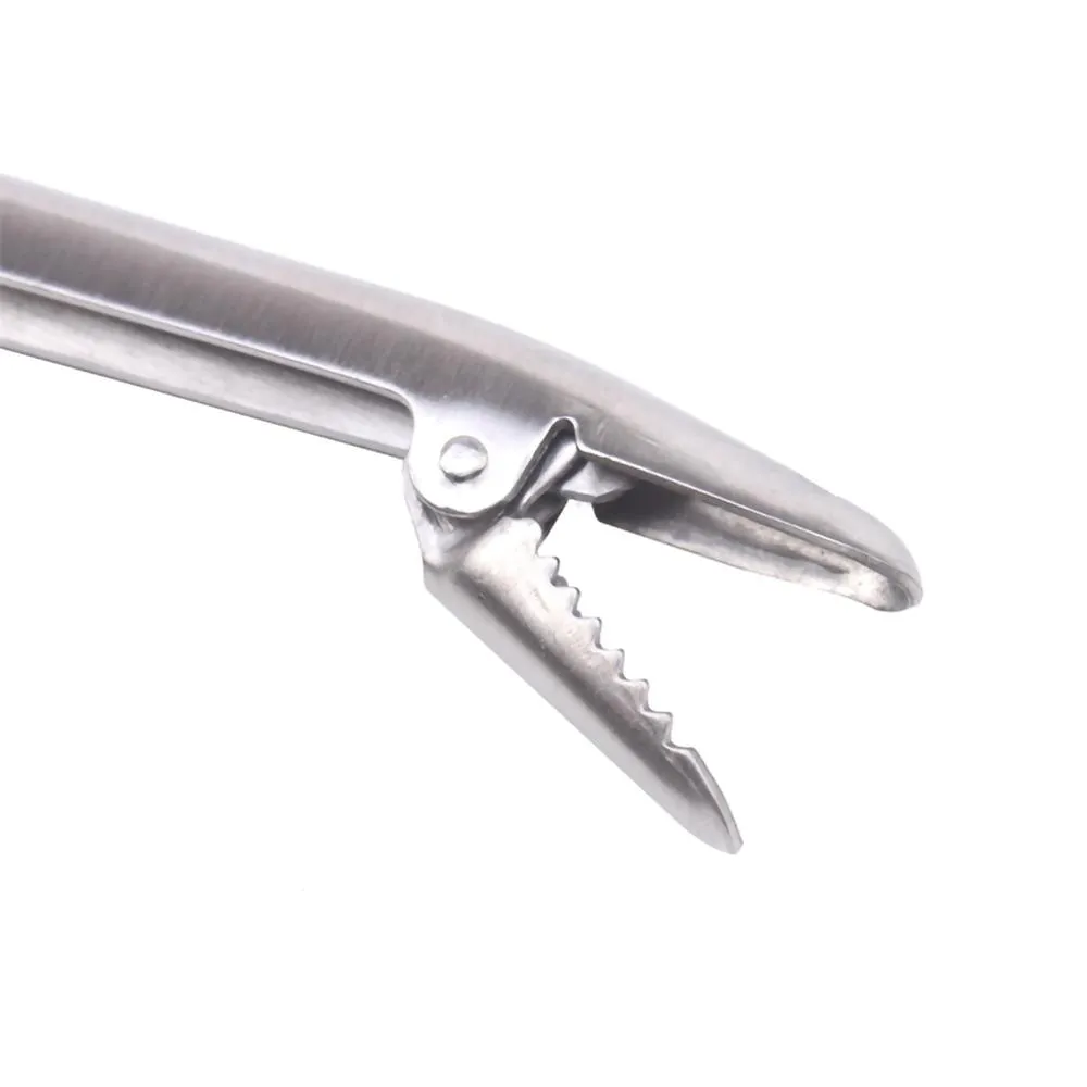 SANLIKE الفولاذ المقاوم للصدأ  - مراجعة Fishing Hook Stainless Steel وسعره